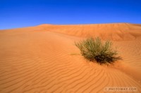 Sur le poème : <br /> "Rupture" de Christian111