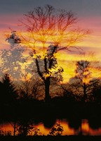 Sur le poème : <br /> "Rouge " de Lucie