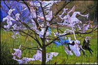 Sur le poème : <br /> "L'air du plastique" de Luluberlue