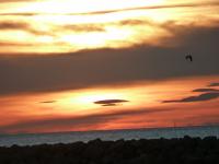 Sur le poème : <br /> "Couchant" de Polymnie2