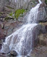 Sur le poème : <br /> "La vasque d'eau clairette" de Oxalys