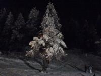 Sur le poème : <br /> "Noël au tison" de Pieds-enVERS