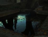 Sur le poème : <br /> "Le lavement des pieds" de Dynamot