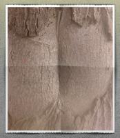 Sur le poème : <br /> "Hopper et Metallica " de Dynamot