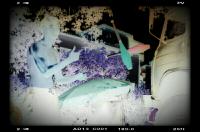 Sur le poème : <br /> "Le jardin des oliviers " de Dynamot