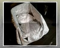 Sur le poème : <br /> "Nature morte " de Dynamot