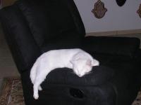 Sur le poème : <br /> "2000 et une nuit..." de Miteix