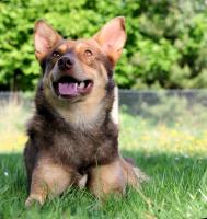 Sur le poème : <br /> "La petite porte" de Arielle