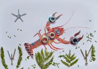 Sur le poème : <br /> "Humour, acte d'amour" de Boblawap