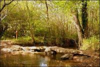 Sur le poème : <br /> "Brocéliande" de Arielle