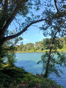 Sur le poème : <br /> "Me jeter dans vos bras" de Ombrefeuille