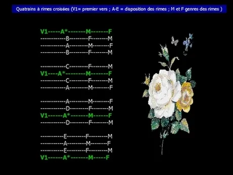 Image BBCode