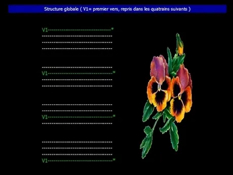 Image BBCode